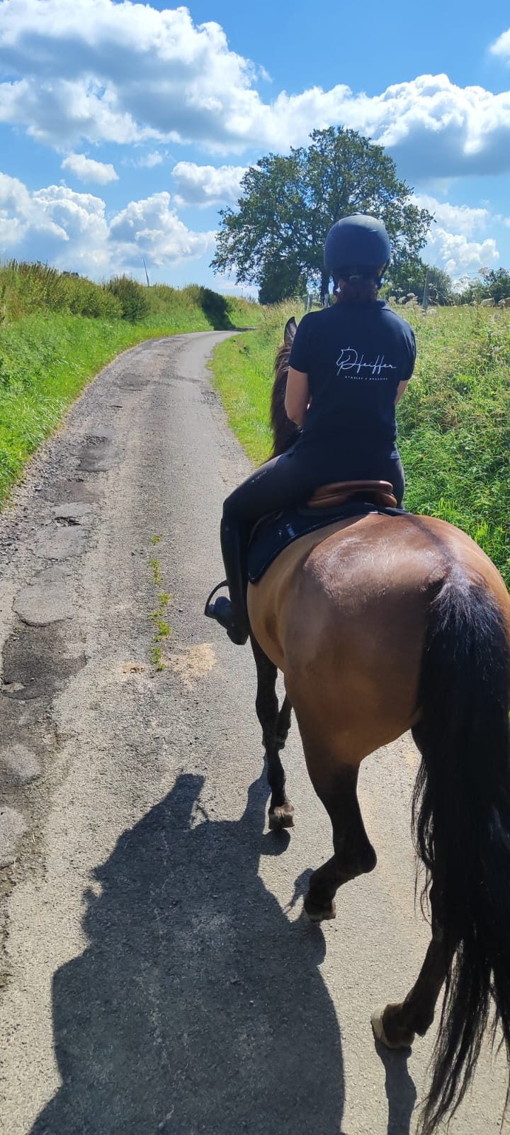 Sortie à cheval