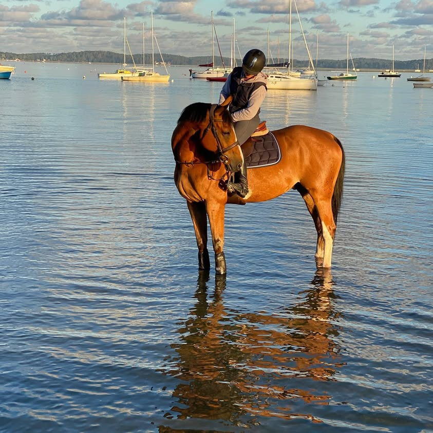 Léa et son cheval dans l’eau