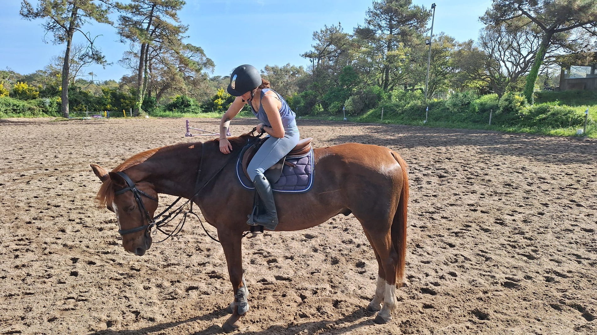 Moment calme avec le cheval