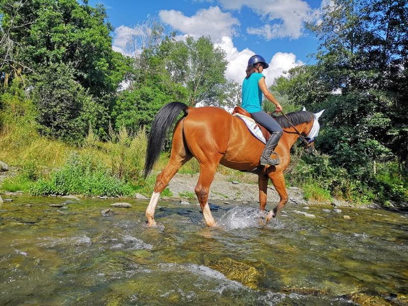 Traversée de rivière