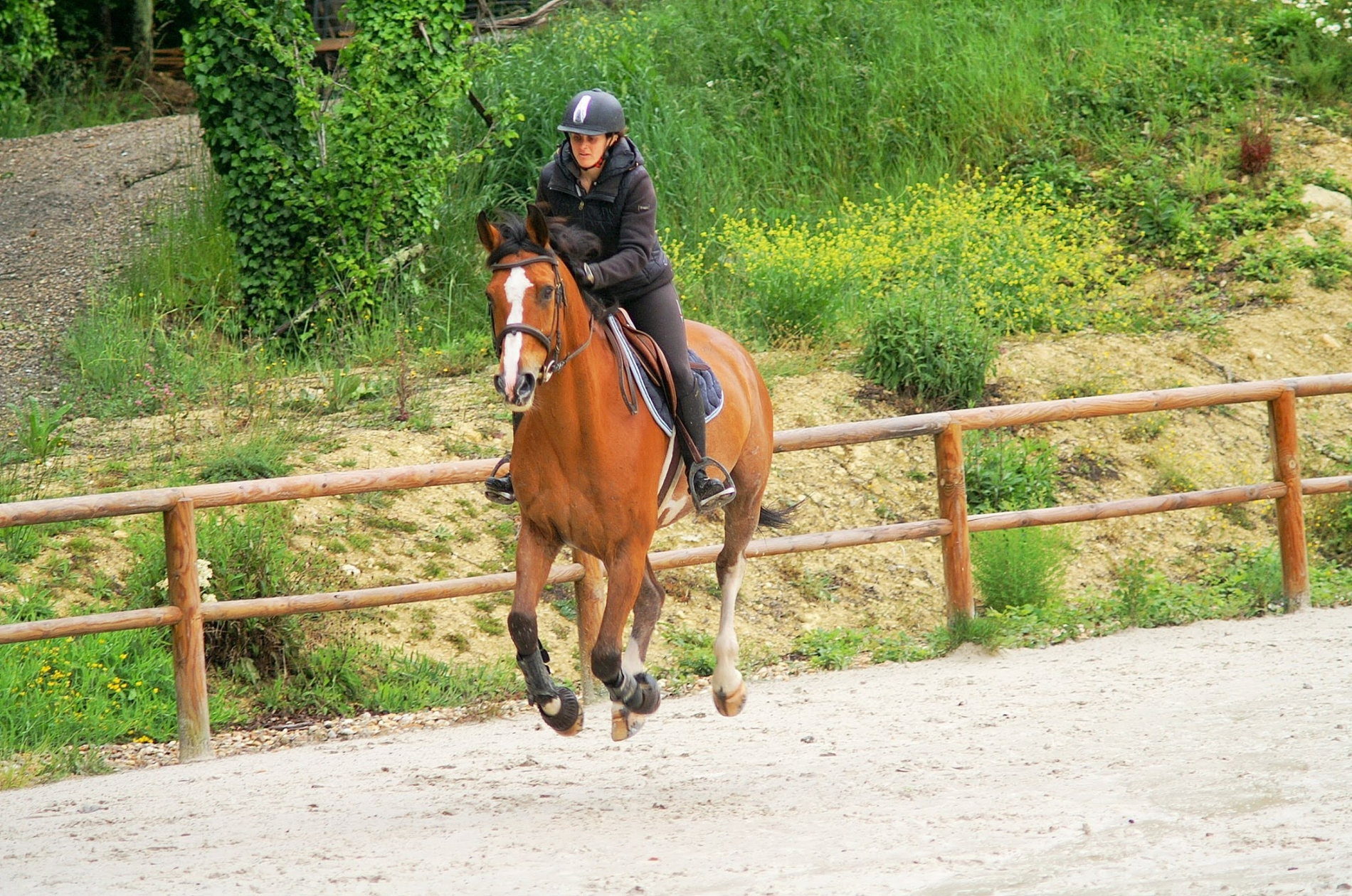 Léa au travail avec un cheval